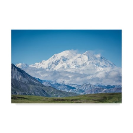 Jeffrey C Sink 'Mt Denali Alaska' Canvas Art,16x24